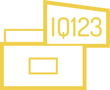 IQ 123